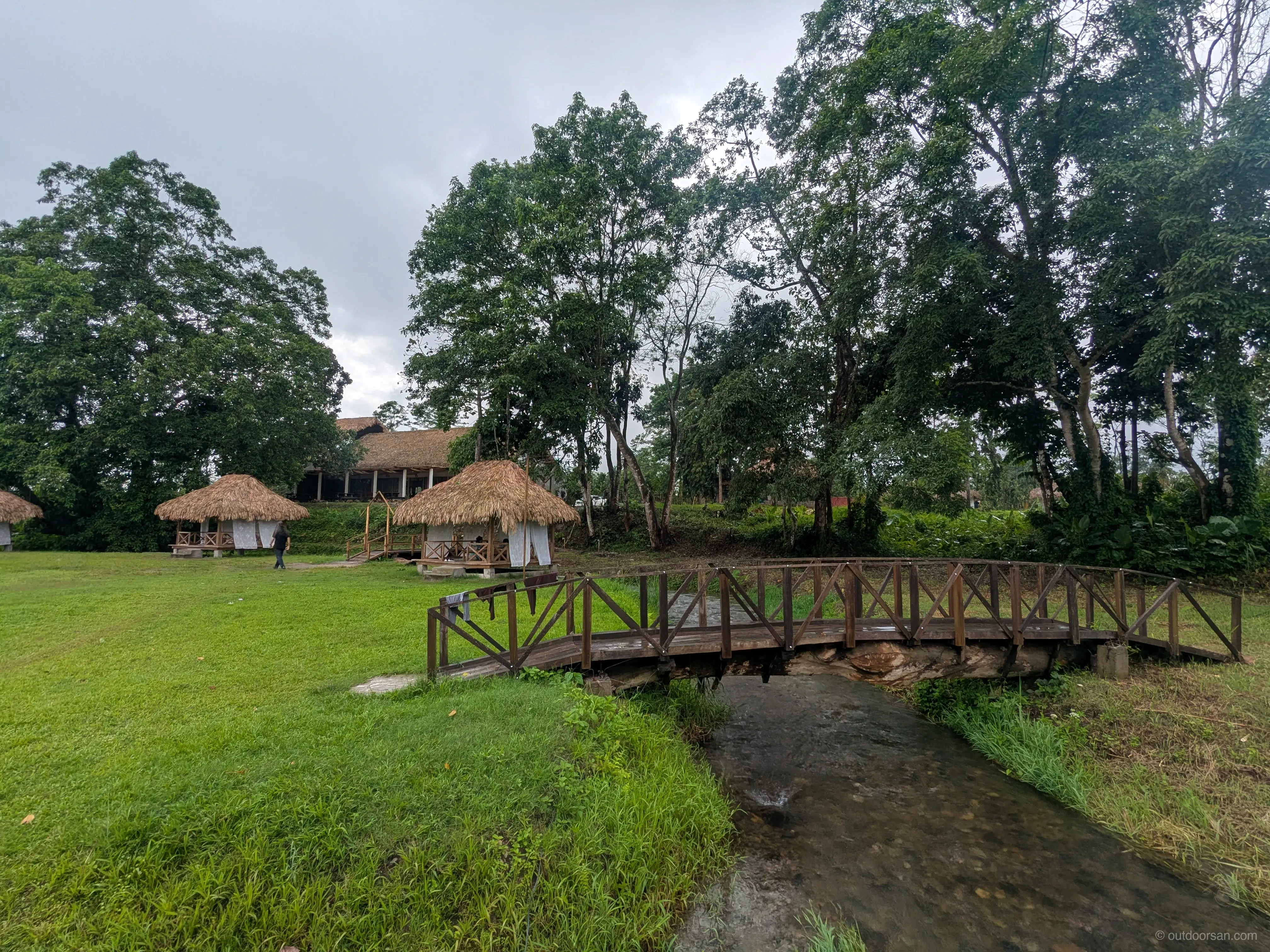 Wildlife spotting in Namdapha rainforest