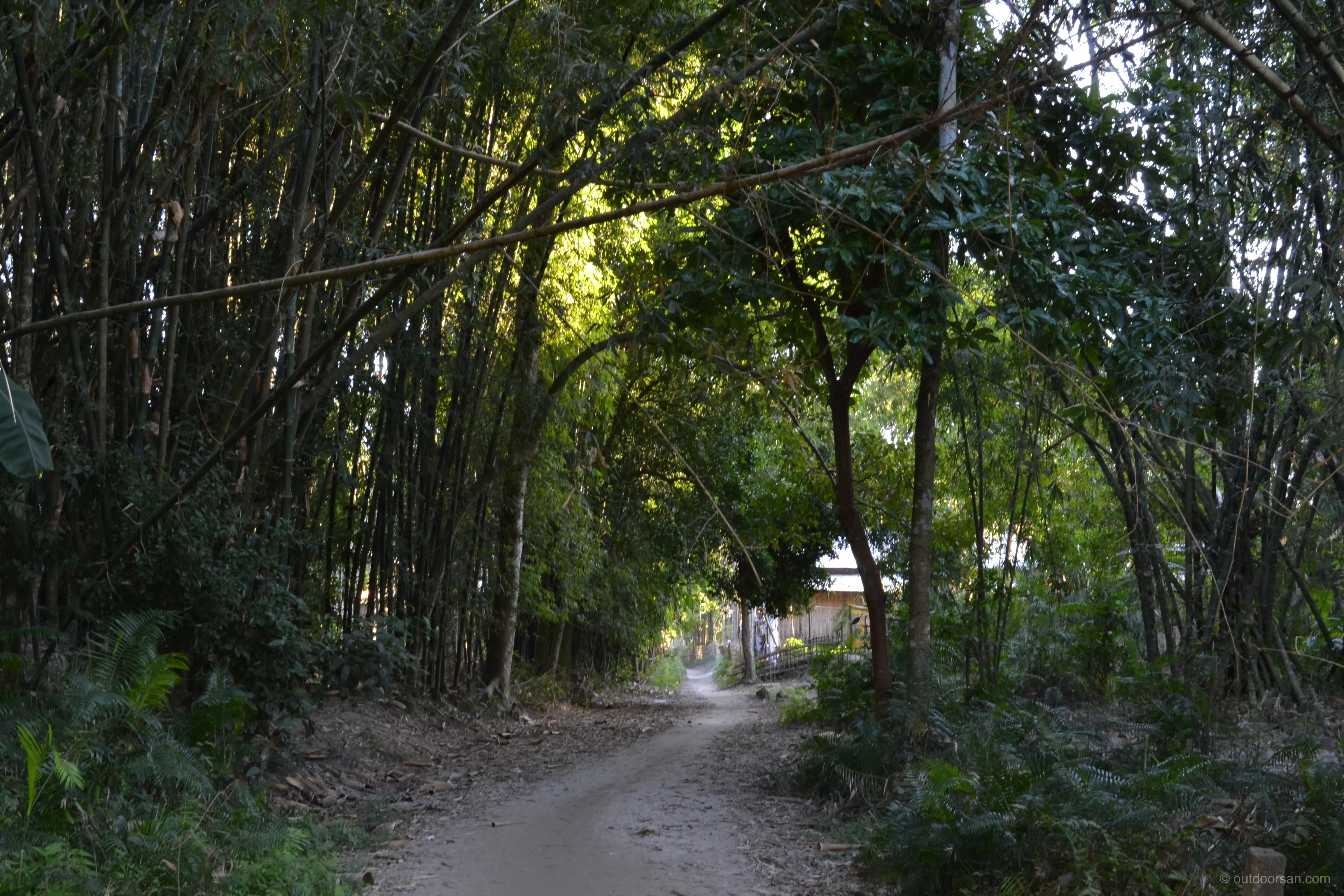 Traditional Satra monastery on Majuli Island
