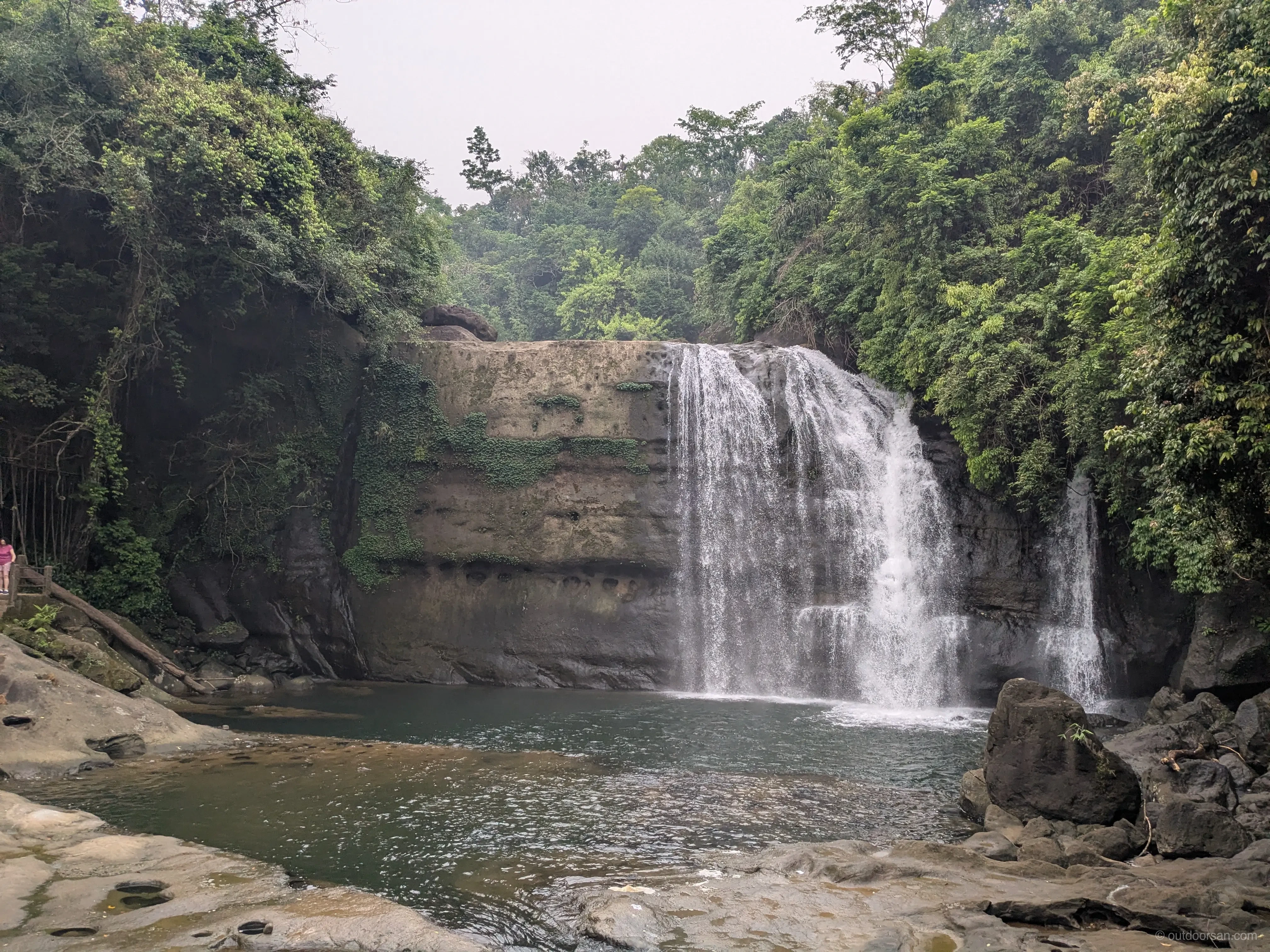 Dense subtropical forest in Meghalaya