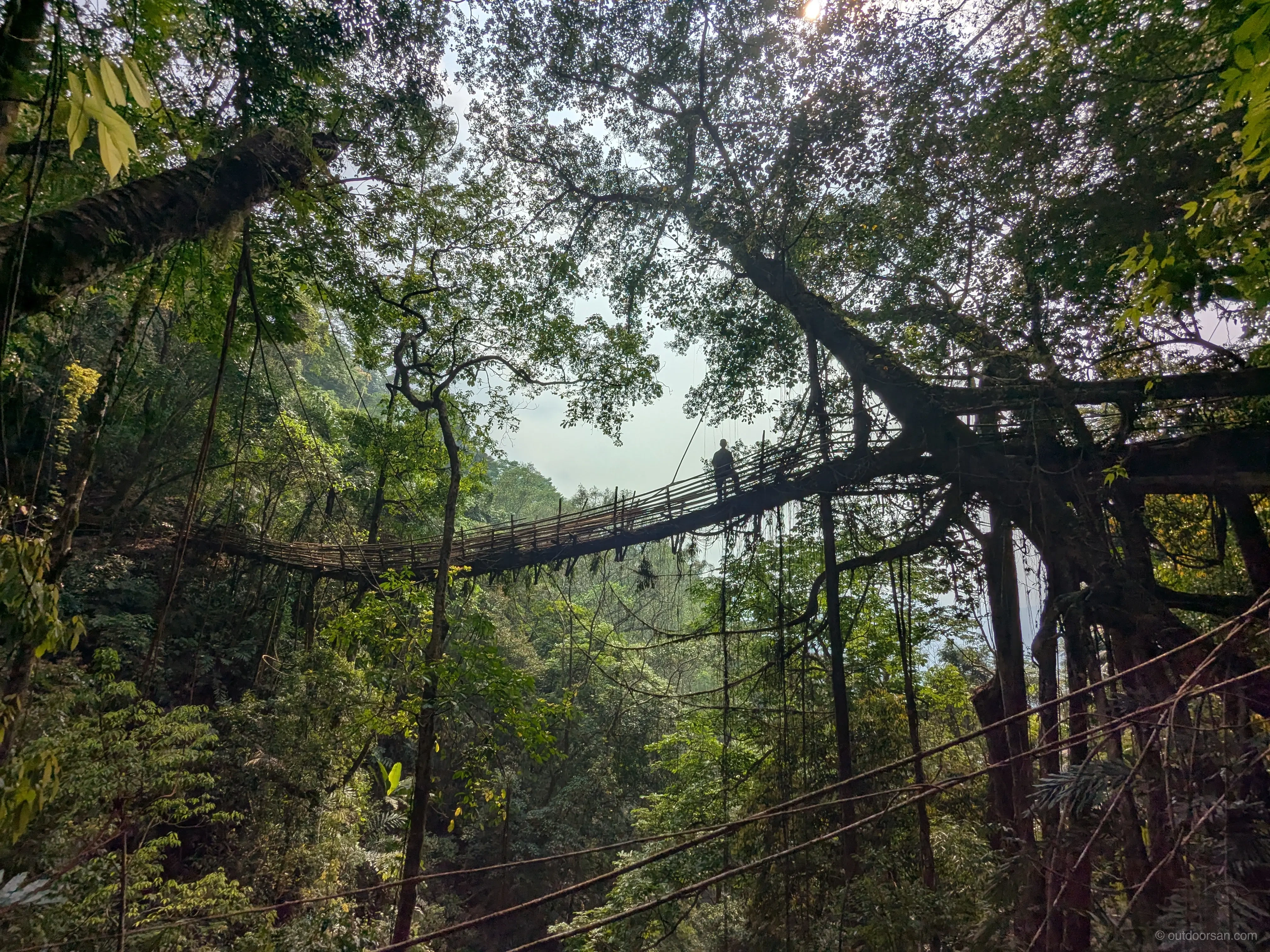Rangthilliang root bridges