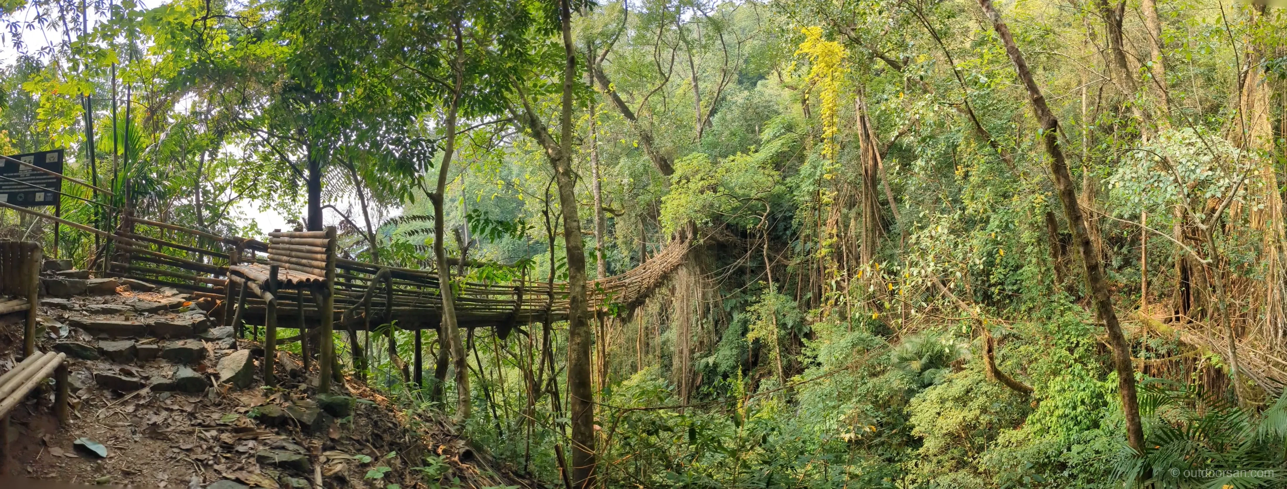 Longest root bridge near Rangthilliang