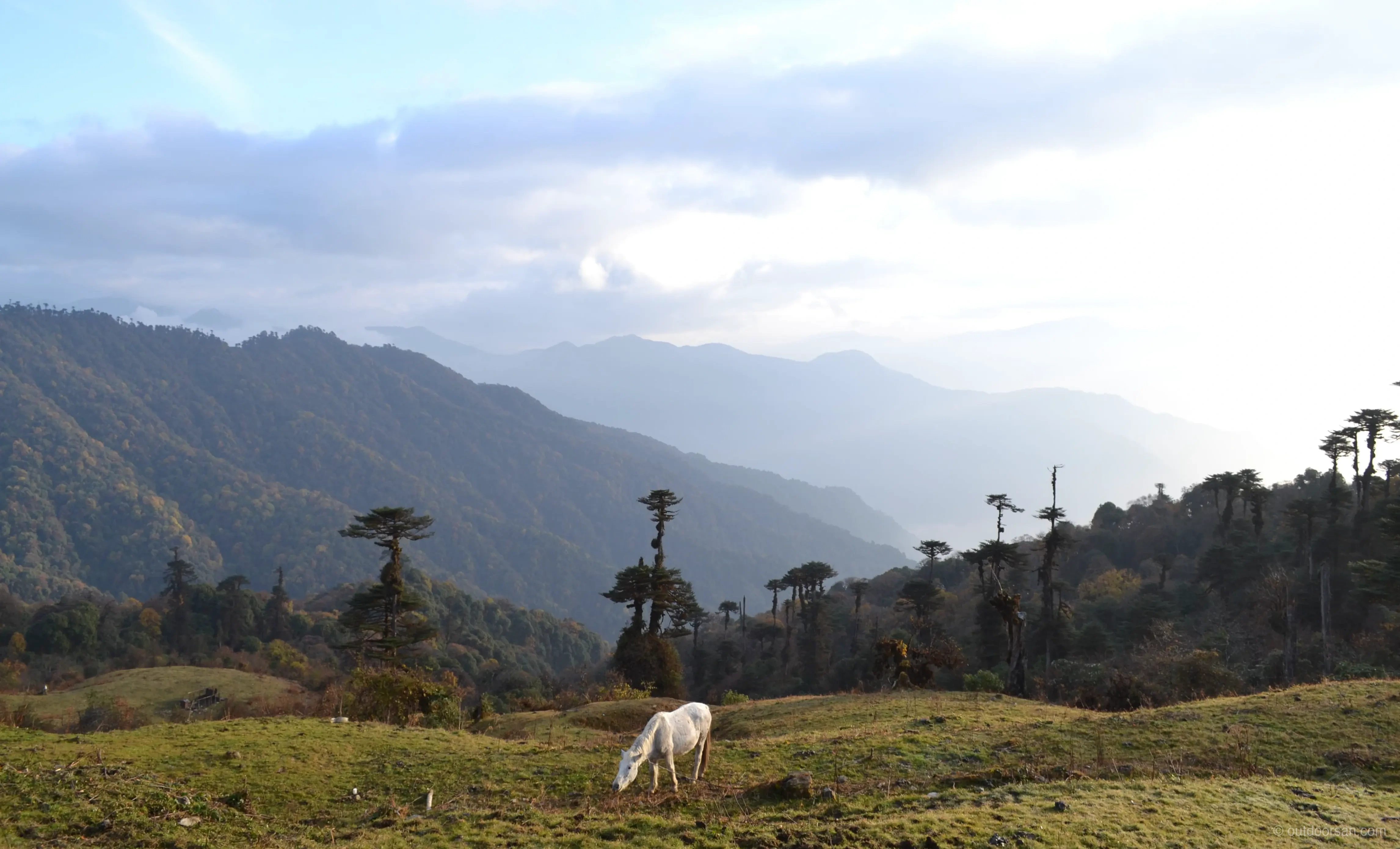 Meadows and mountains in Western Arunachal