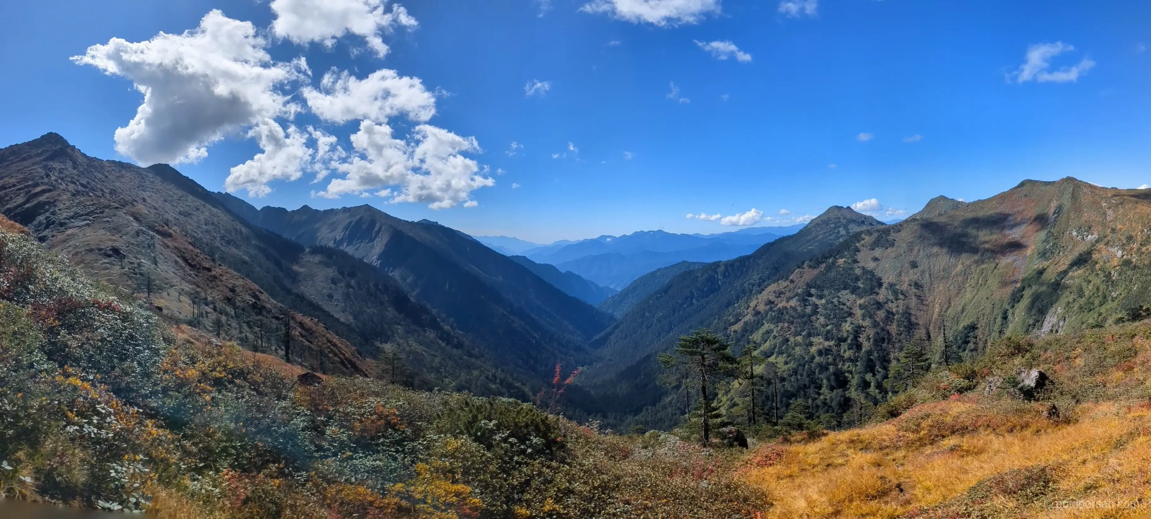Forests and views while trekking above Camp 3