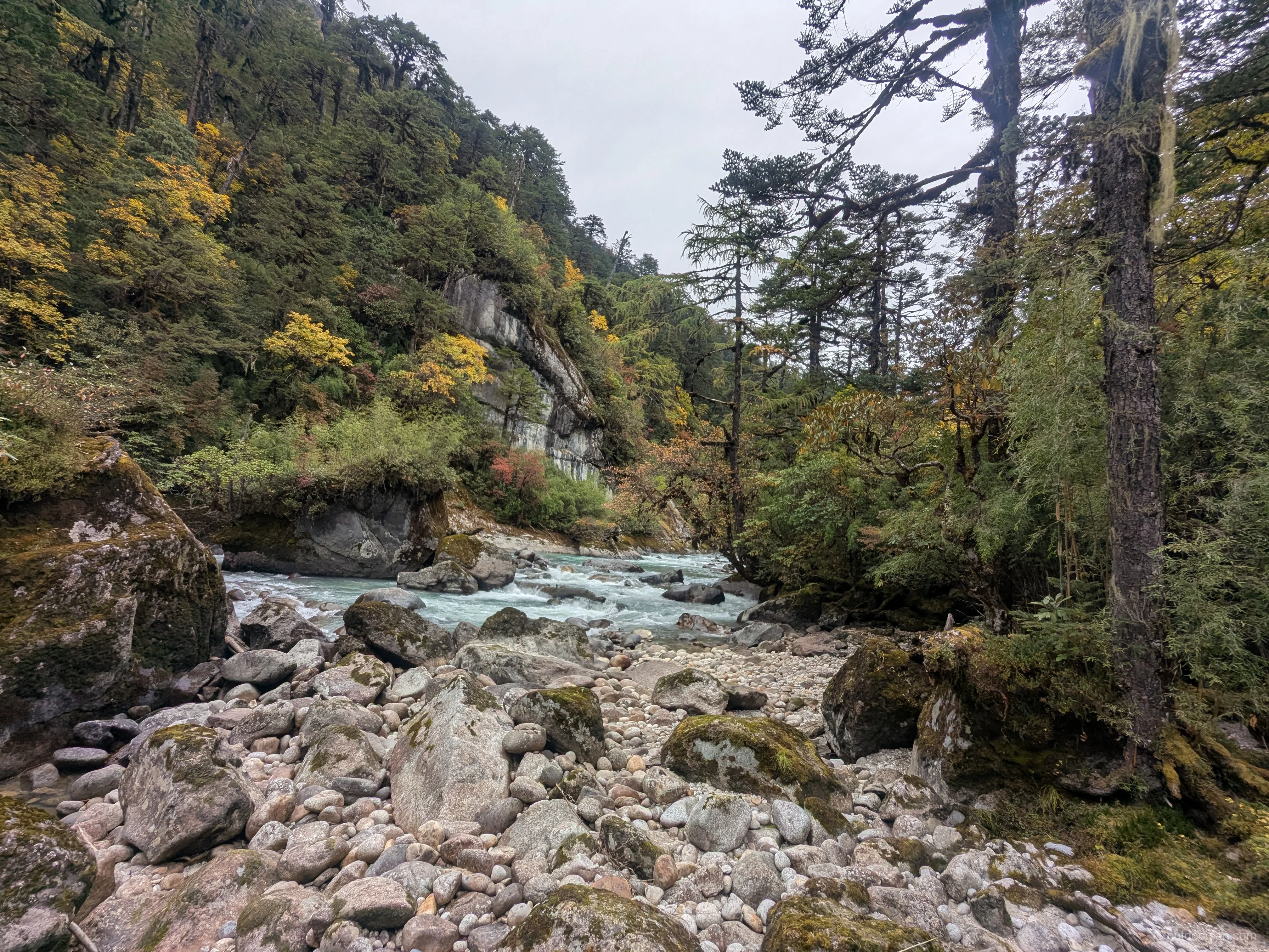 Autumn colours on Day 2 walk