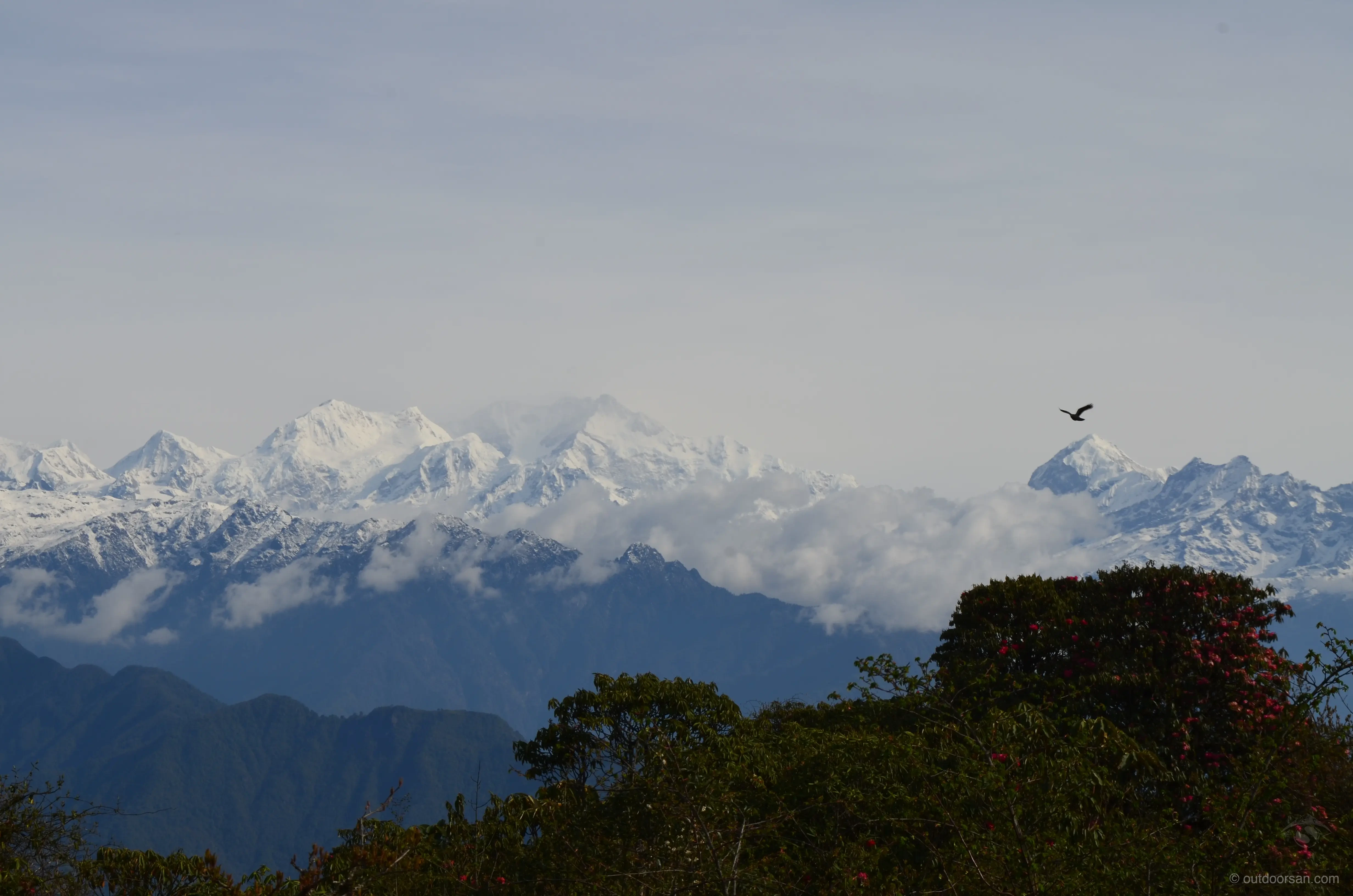 Barsey trek with Kanchenjunga views in Sikkim
