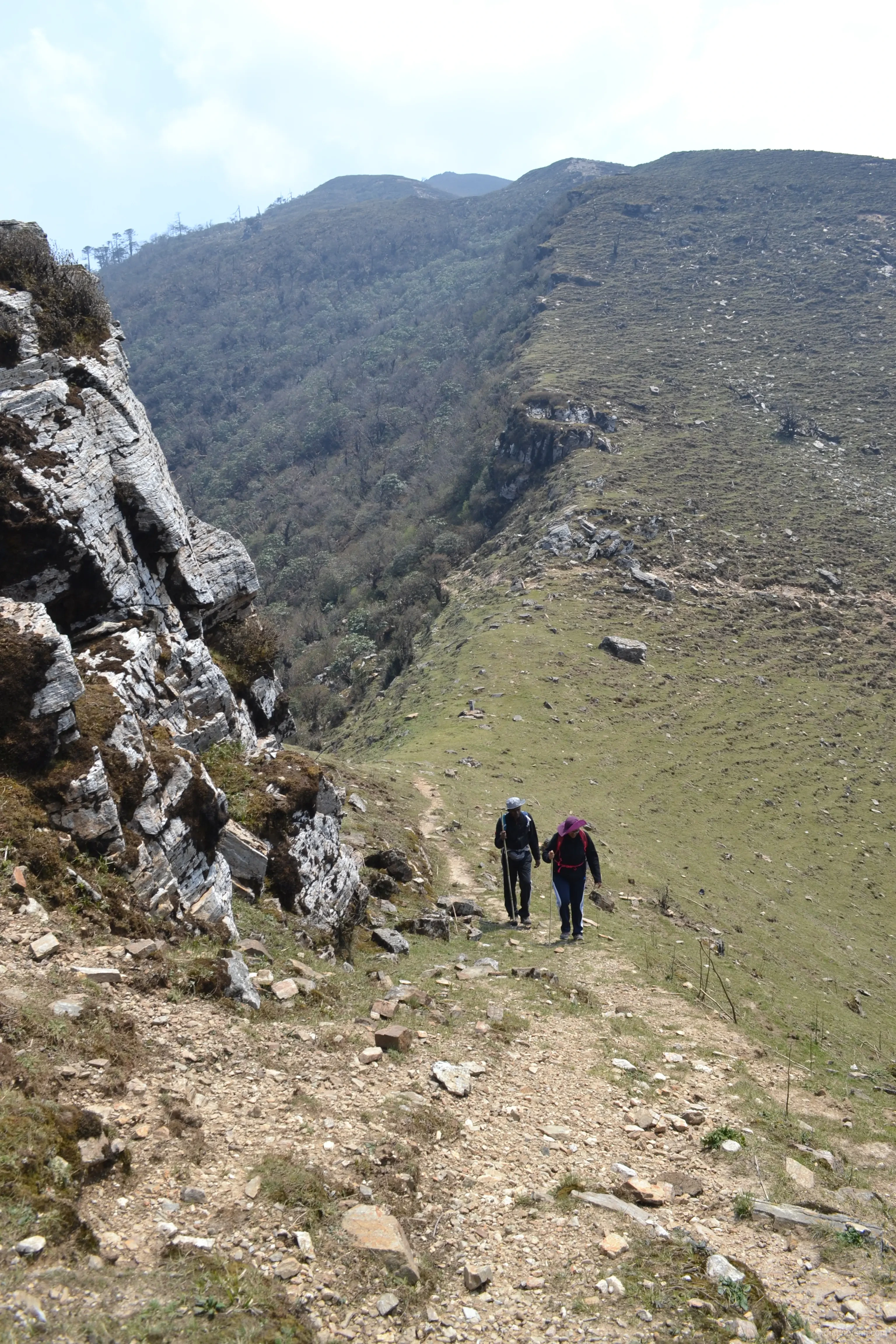 Walking the Singalila ridge with distant Himalayan views