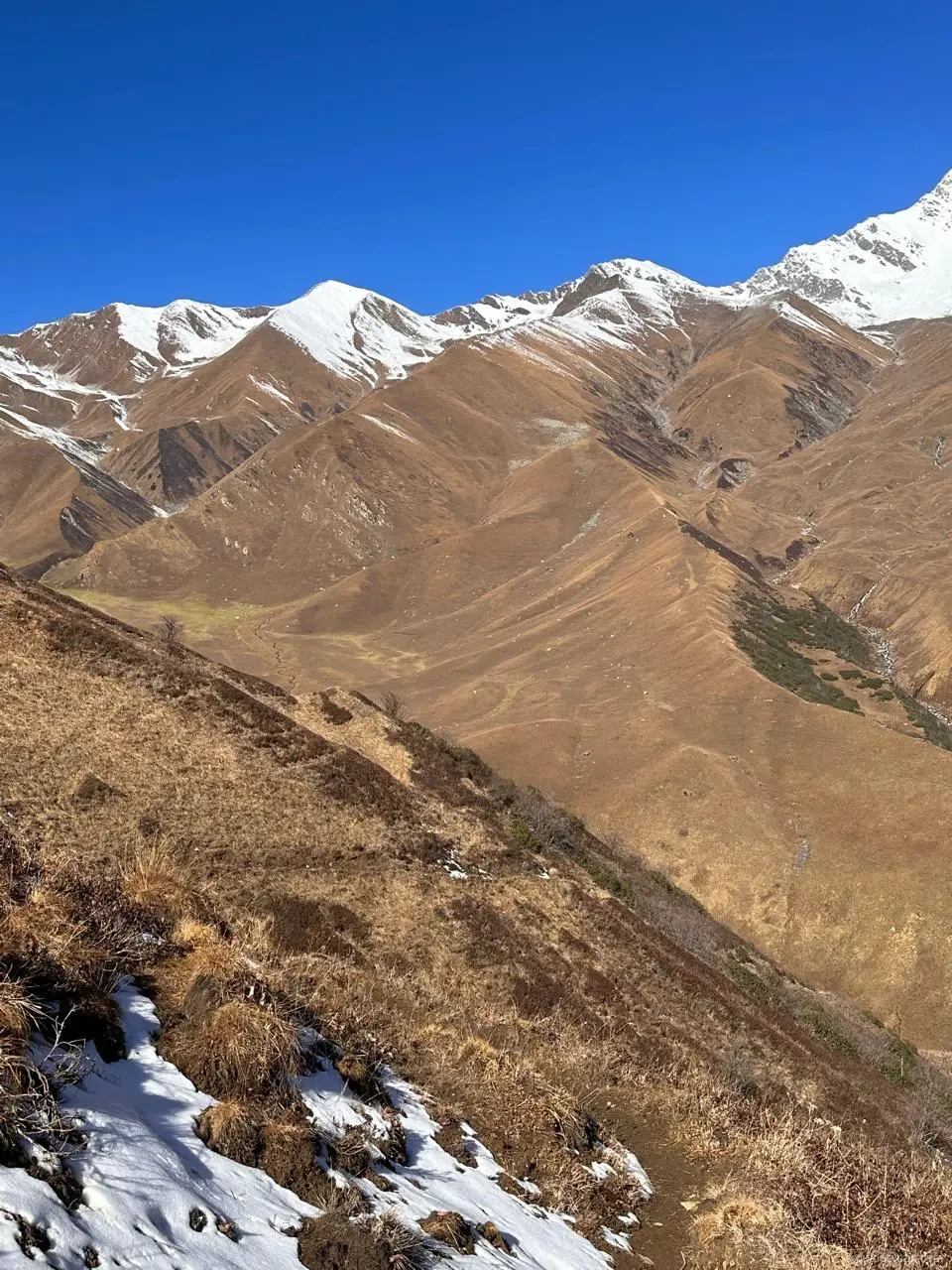 Rolling alpine meadow stretching toward snow-capped peaks in Gidara Bugyal