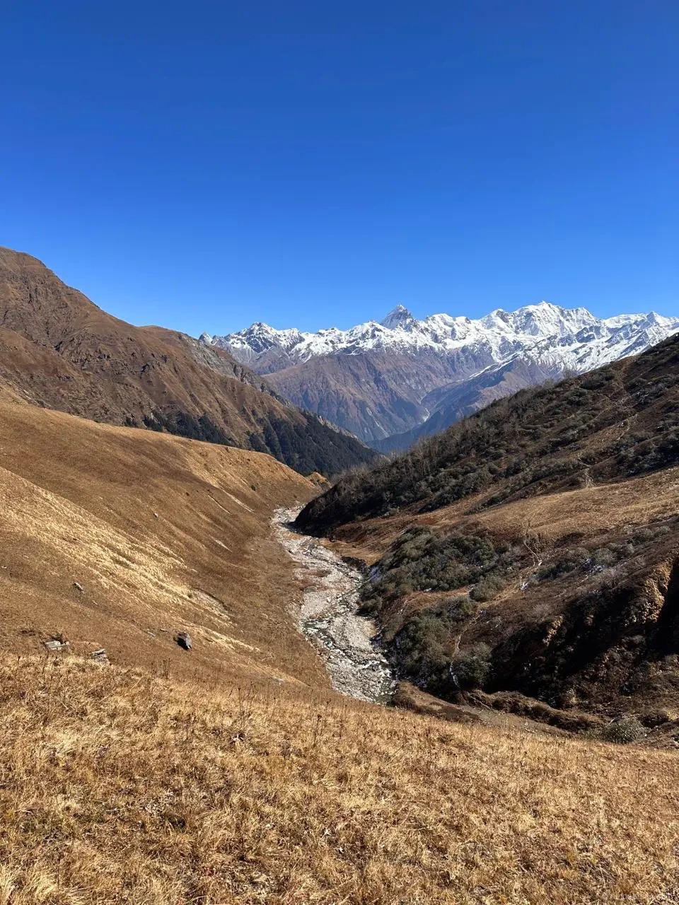 Snow-capped Bandarpoonch massif rising above the alpine meadow