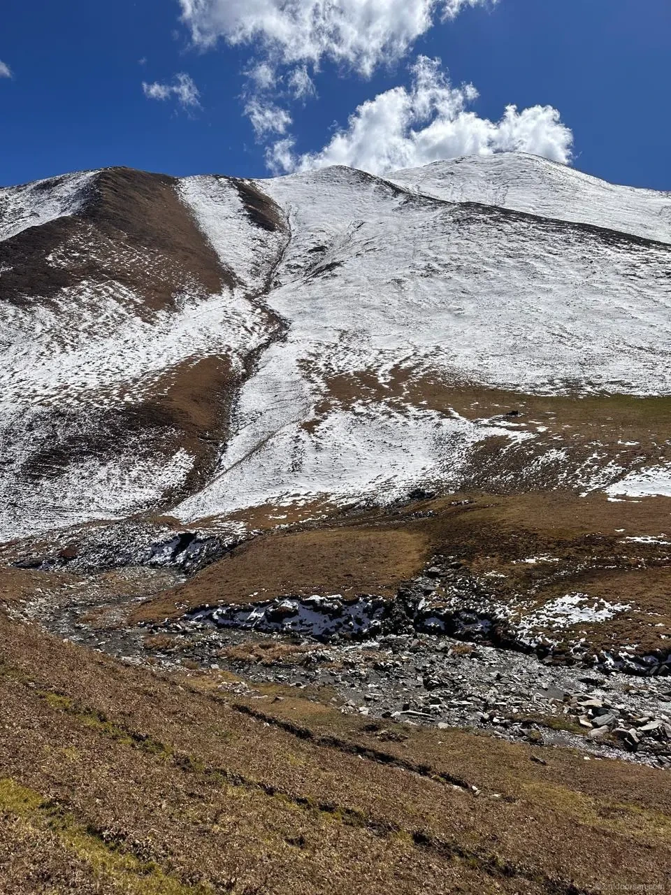 Alpine meadow camp with panoramic ridge views