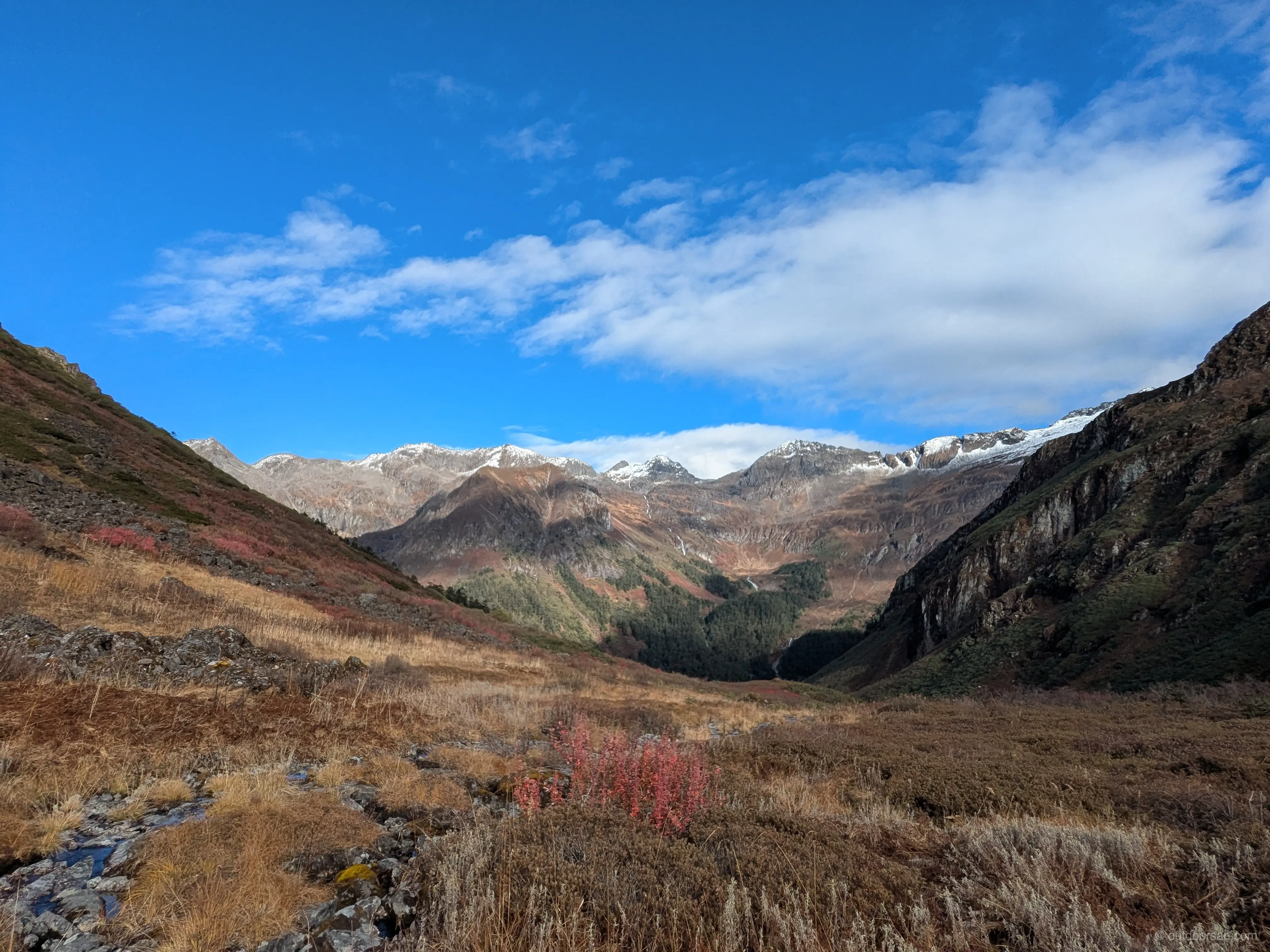 Mountains, meadows and brooks
