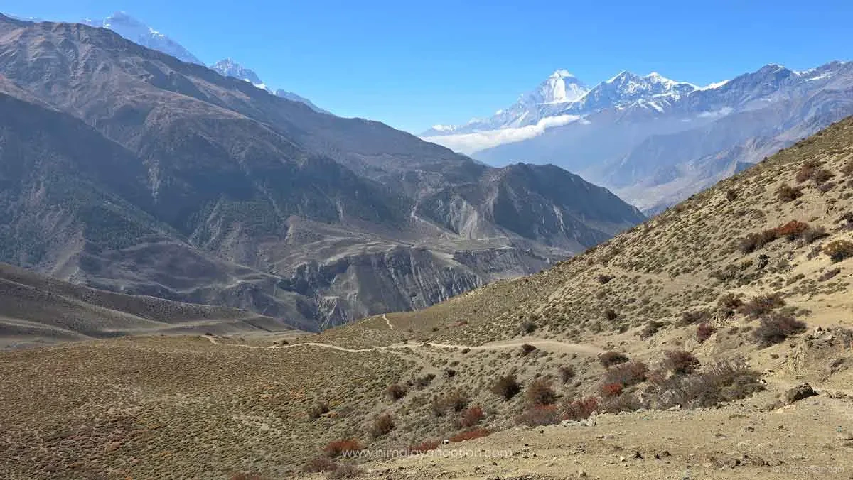Nar Phu Valley Trek in Nepal