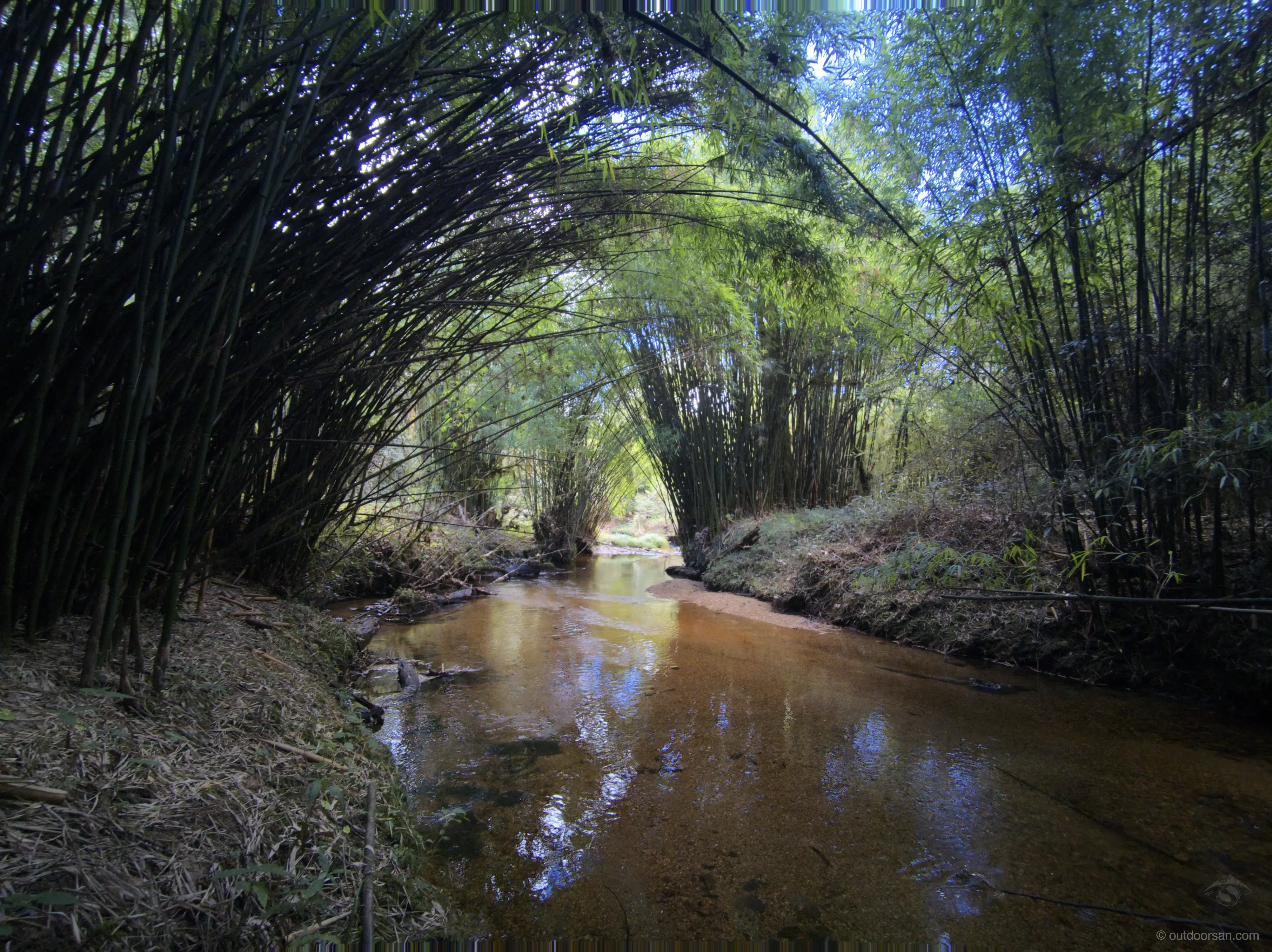 Stream in the bamboo forest at Talle
