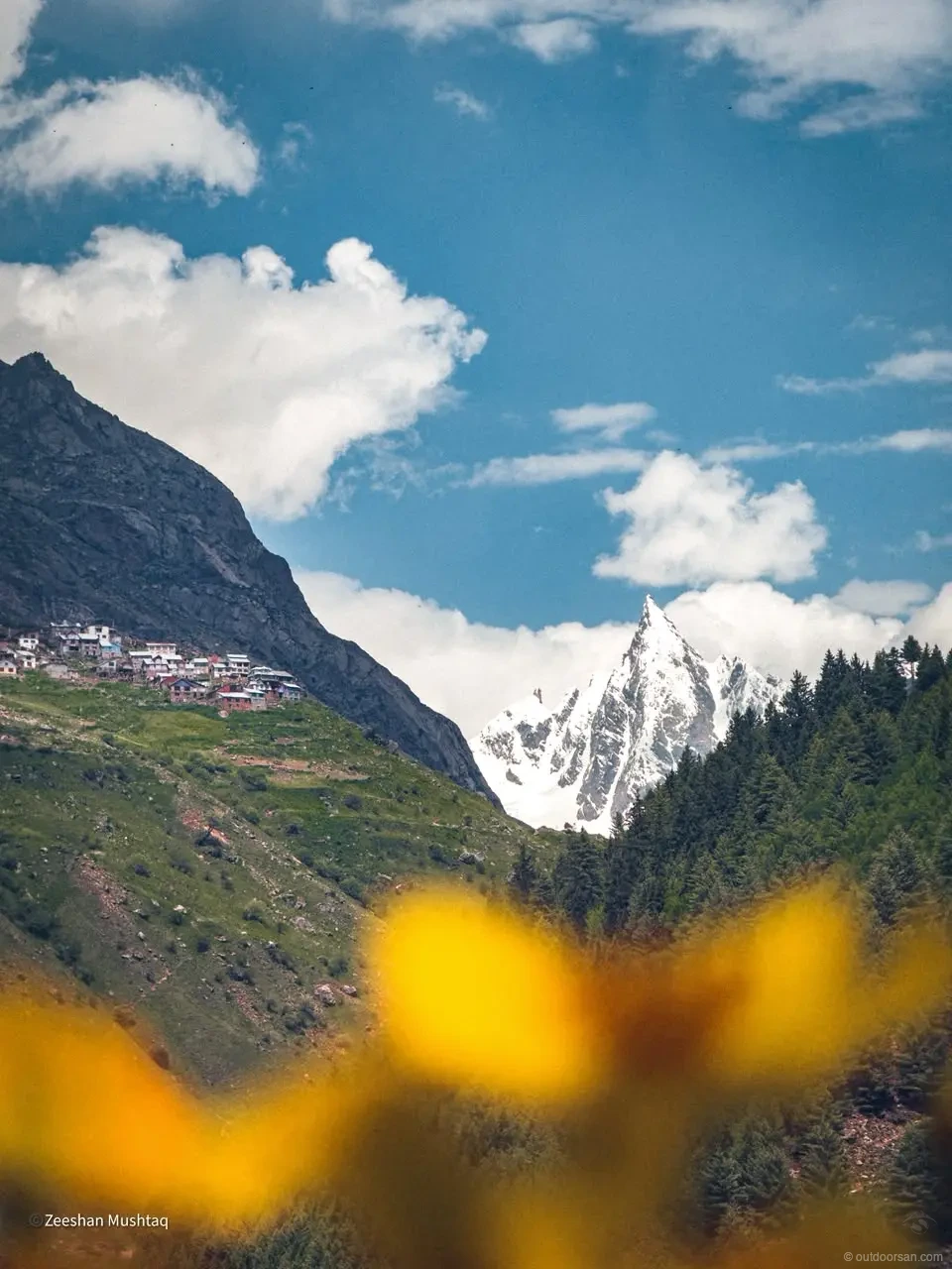 Alpine meadow near Tupendo Base Camp in the Kishtwar Himalayas