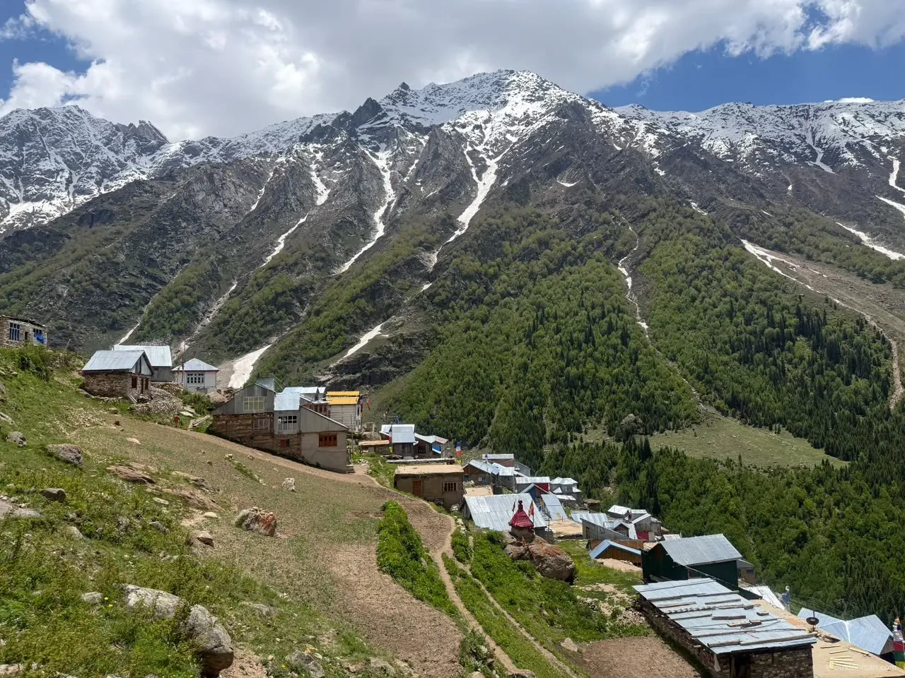 Alpine meadow beneath snow-capped peaks in the Kishtwar Himalayas
